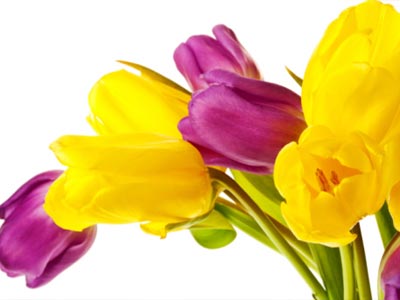 ดอกไม้ประจำเดือนเกิด