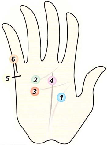ทำนายทายทัก : ดูดวงลายมือ ด้วยตัวเอง