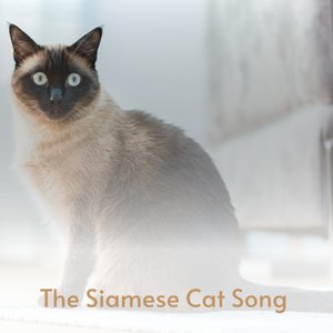 The Siamese Cat Song อัลบั้มของ Various Artists | Sanook Music