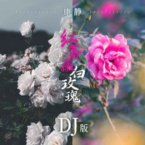 เพลง เน อเพลง 红蔷薇白玫瑰 Dj版 Mp3 ดาวน โหลดเพลง Sanook Music