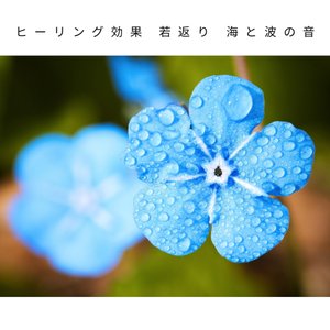 ヒーリング効果 若返り 海と波の音 อ ลบ มของ 睡眠音楽の巨匠 Sanook Music