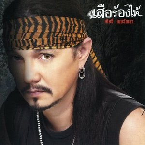 เสือร้องไห้ อัลบั้มของ เทียรี่ เมฆวัฒนา | Sanook Music