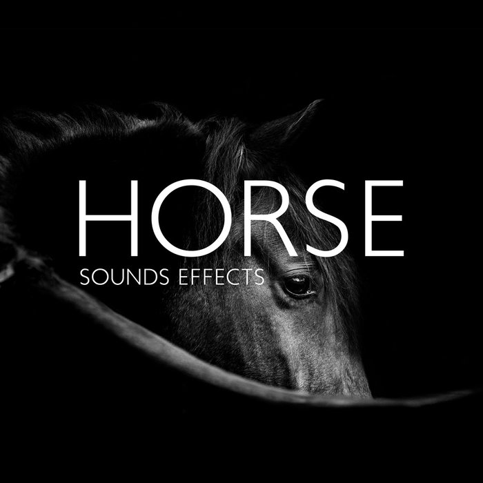 Horse Sounds Effects (Galloping, ASMR Horse Sounds Stress Relief, Race