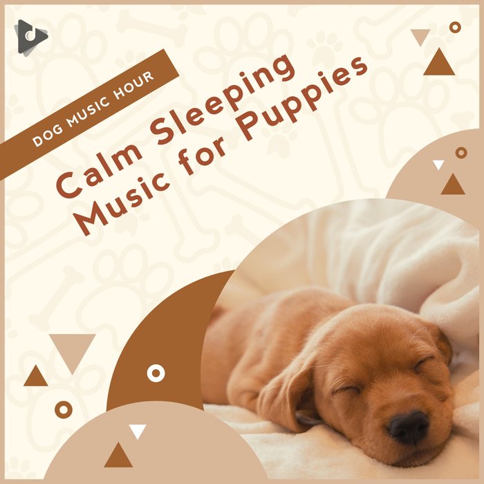 calm-sleeping-music-for-puppies-dog-music-hour-music-for