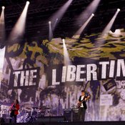 Pete Doherty นักร้องนำ The Libertines เข้าโรงพยาบาลเพราะโดนหนามเม่นแคระทิ่ม!