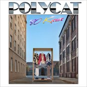 “Polycat” คอนเสิร์ตใหญ่ อัลบั้มใหม่ และความสำเร็จที่เกิดจากการทำตามใจตัวเอง