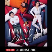 “Polycat” คอนเสิร์ตใหญ่ อัลบั้มใหม่ และความสำเร็จที่เกิดจากการทำตามใจตัวเอง