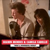 Shawn Mendes และ Camila Cabello