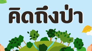 5 เพลงเอาใจคนรักธรรมชาติ เพราะเรา “คิดถึงป่า”