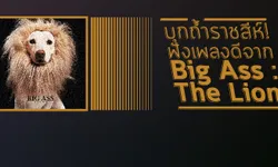บุกถ้ำราชสีห์! ฟังเพลงดีจาก Big Ass : The Lion