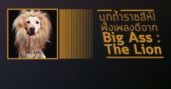 บุกถ้ำราชสีห์! ฟังเพลงดีจาก Big Ass : The Lion