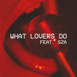 what-lovers-do