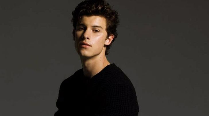 shawn_mendes-2018-785x436