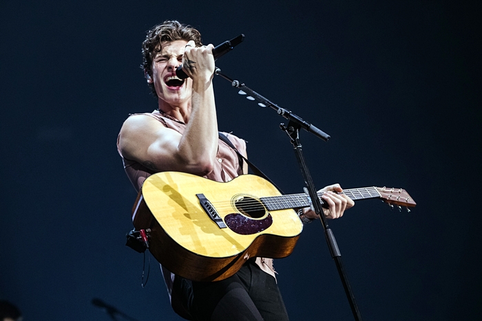 SHAWN MENDES: THE TOUR