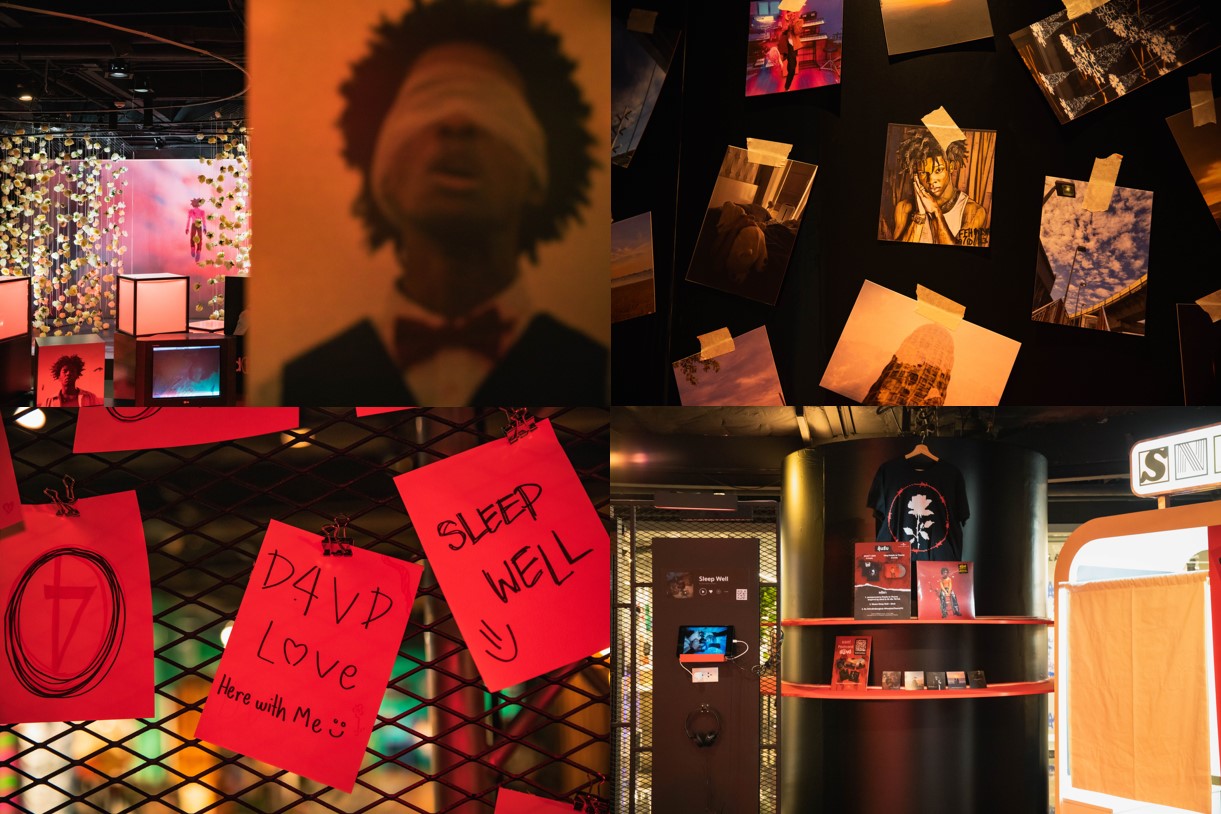 Installation Petals to Thorns inspired by d4vd