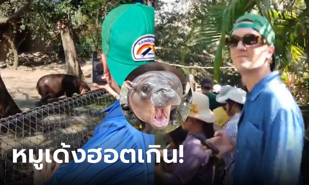 โดนตกเข้าให้! LANY เดินทางไปดู ‘หมูเด้ง’ เซเลบสวนสัตว์เปิดเขาเขียว