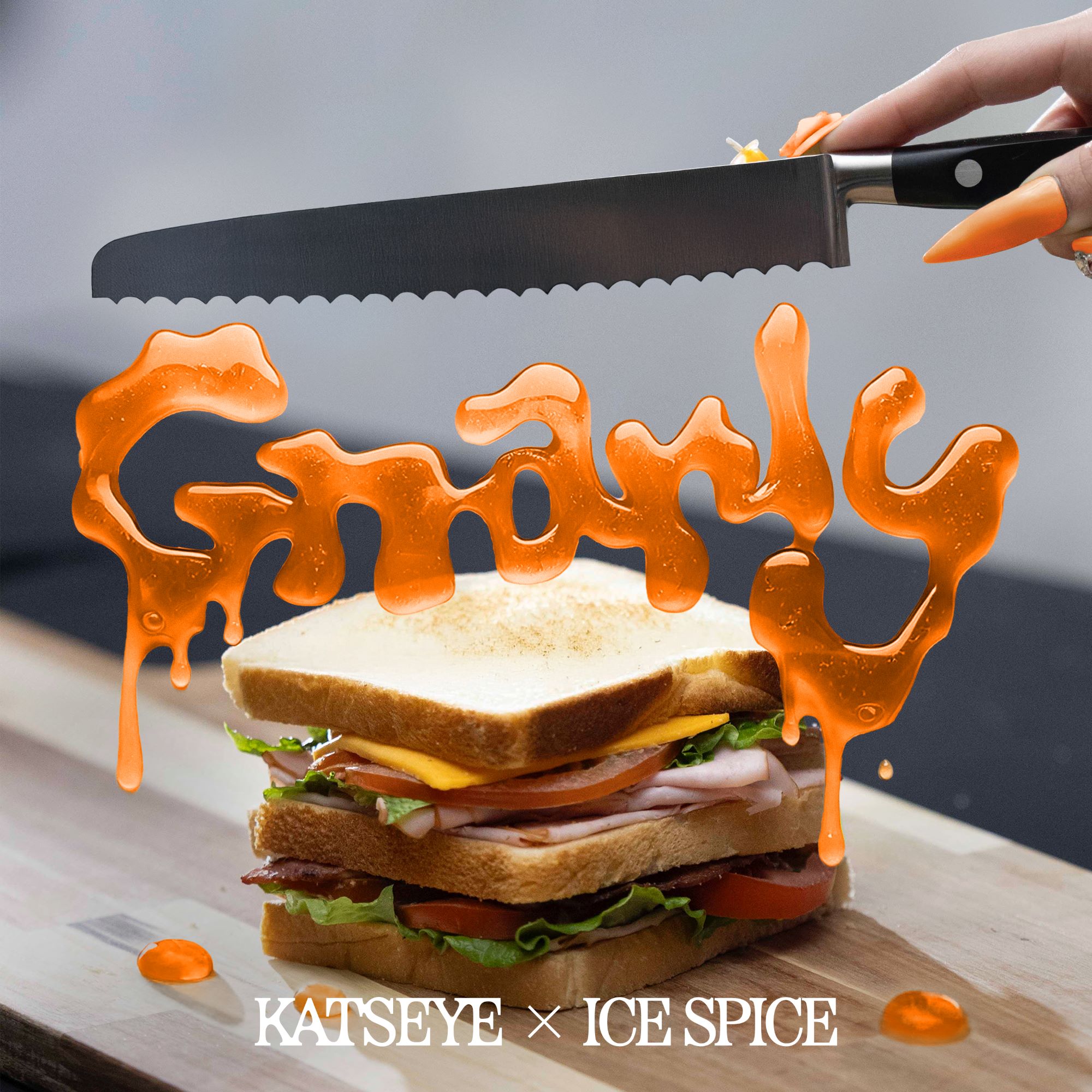 gnarly_icespice_coverart