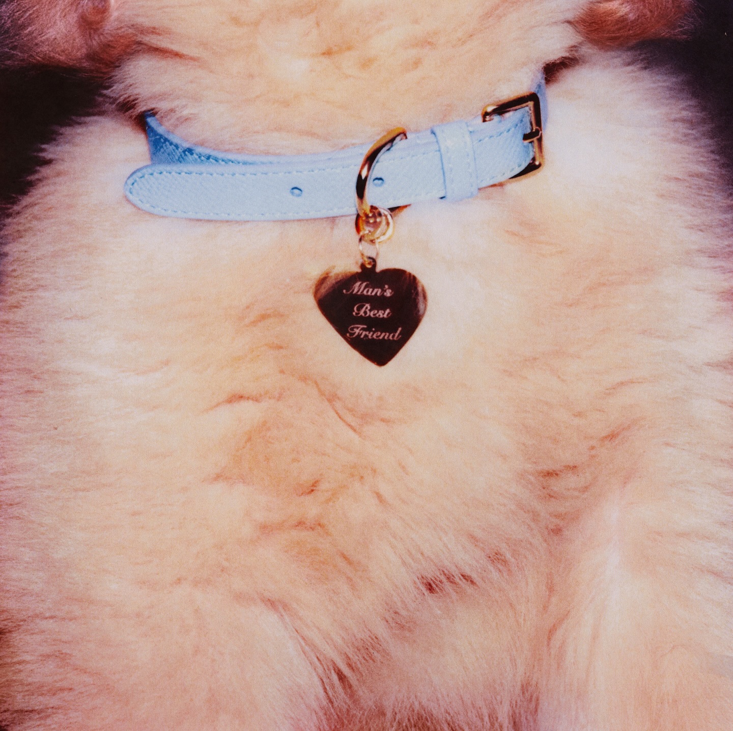 sabrinacarpenter-mansbest_1