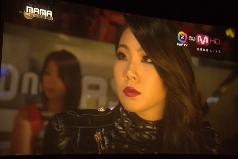 2013 Mnet Asian Music Awards (MAMA 2013)