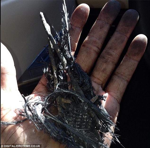 พอล วอล์คเกอร์ ไทรีส RZA