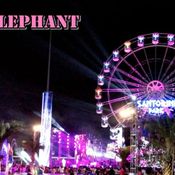 Pink Elephant presents Santorini concert and carnival 2013