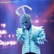 THE MASK SINGER