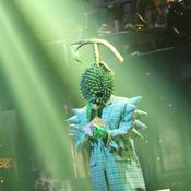 THE MASK SINGER