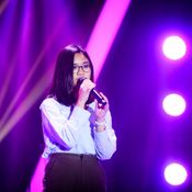 หงส์ The Voice