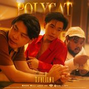 Polycat 