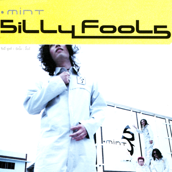 โต Silly Fools 