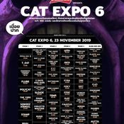 น่าดูมาก! Moderndog เตรียมขึ้นเวที Cat Expo 6 ด้วยสมาชิกยุคก่อตั้งวง