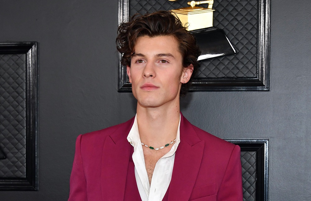 Shawn Mendes at Grammy Awards 2020