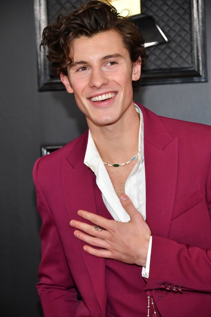 Shawn Mendes at Grammy Awards 2020