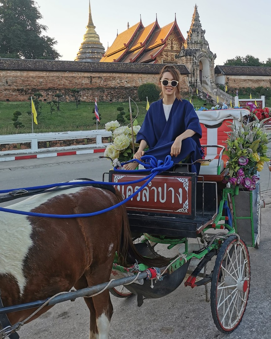 ปาล์มมี่