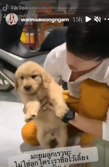 นุ๊ก ธนดล