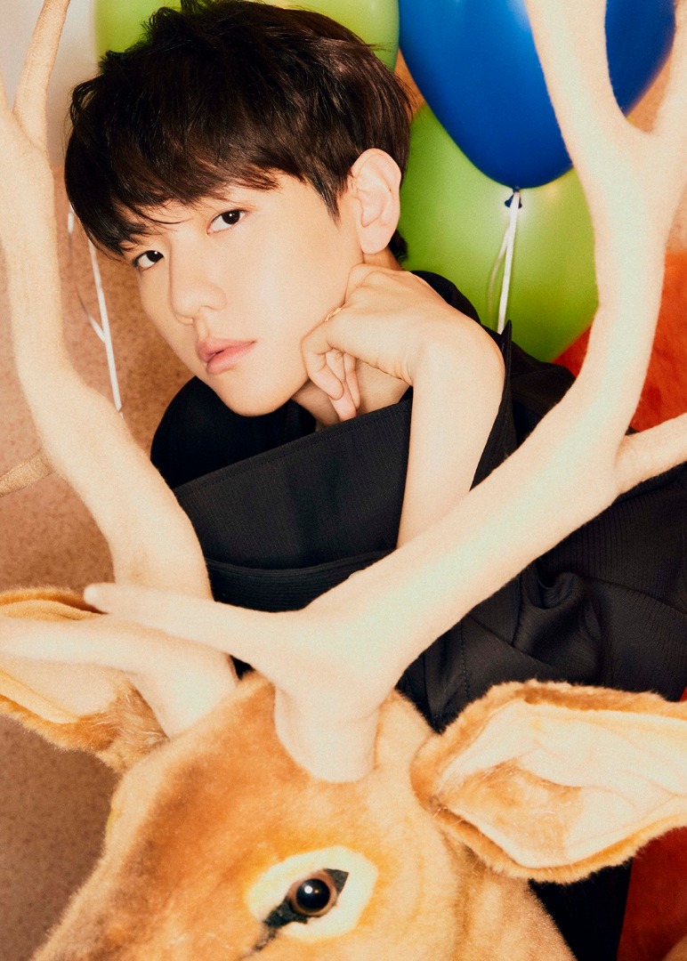 BAEKHYUN (แบคฮยอน) Bambi