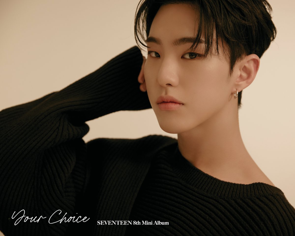 SEVENTEEN: Your Choice