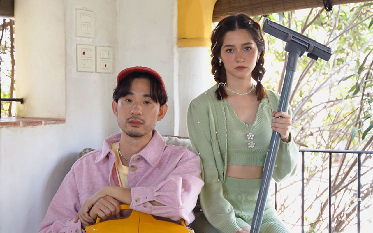 ดูดฝุ่น