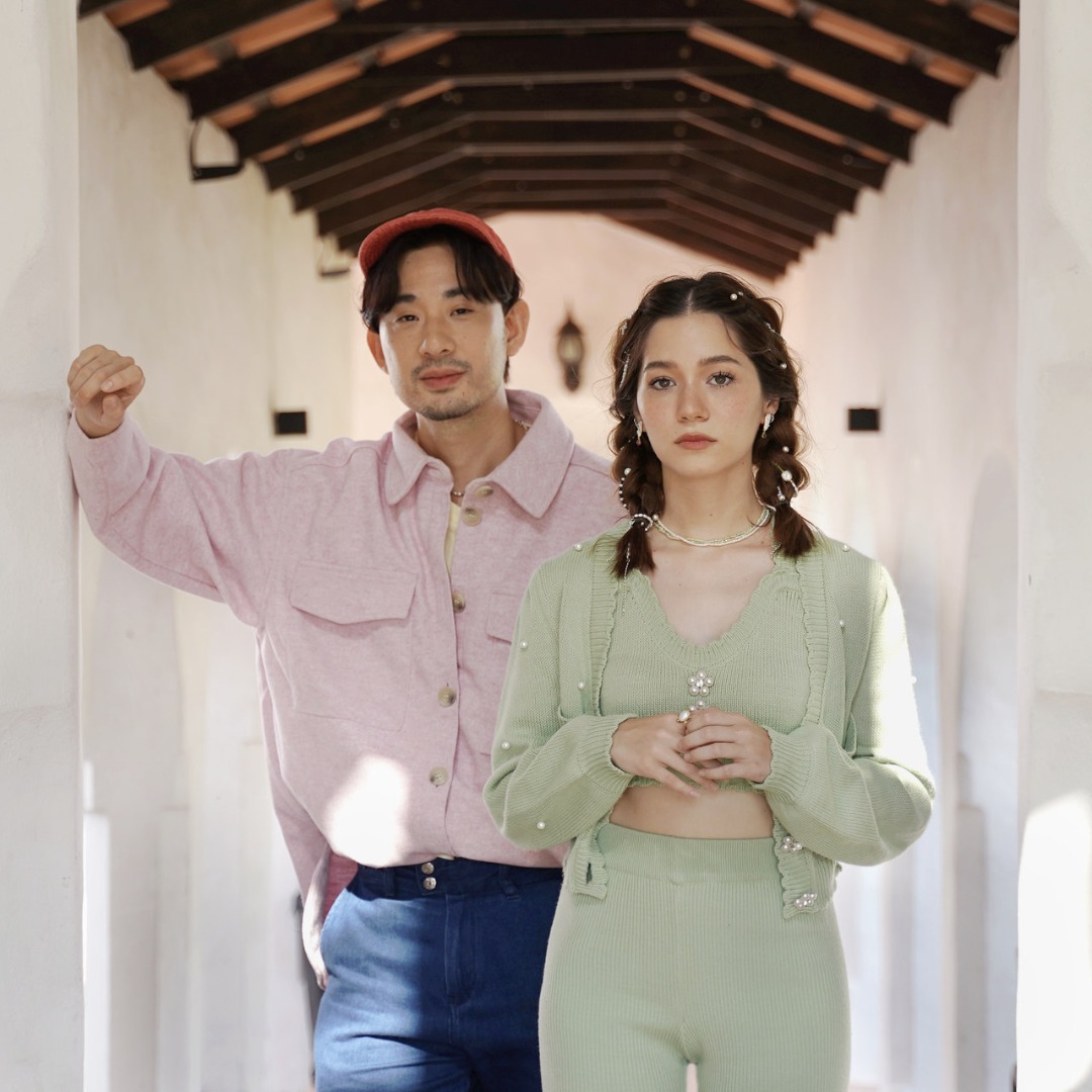 ดูดฝุ่น