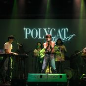 POLYCAT ‘Concert’ Exhibition