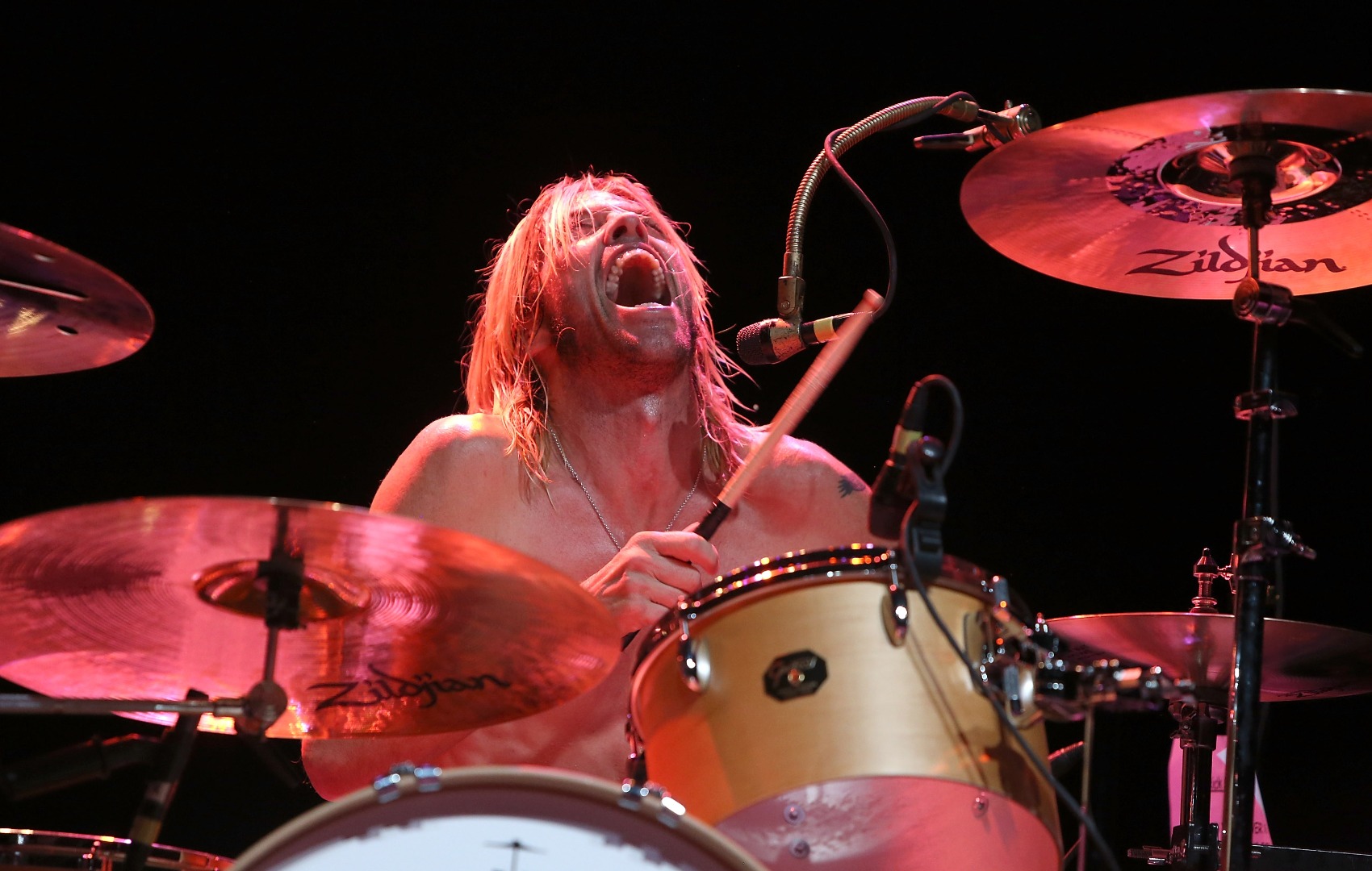 Taylor Hawkins 
