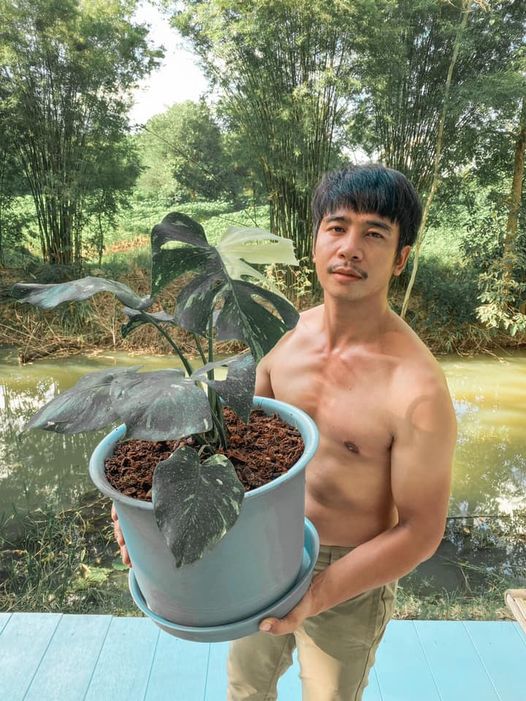 ก้อง ห้วยไร่ 