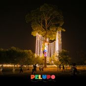 Pelupo Music Festival 2023