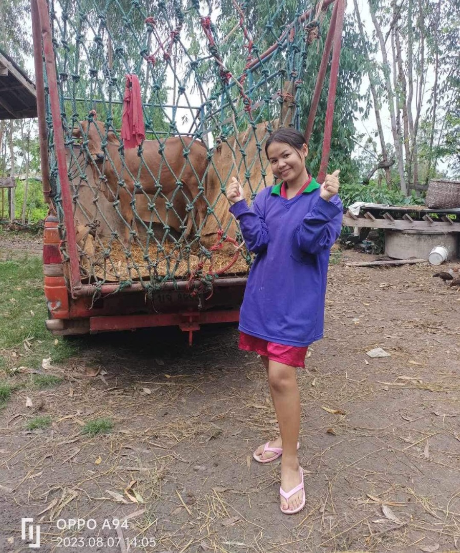 เพลง พิมพ์ลดา แสงทองฟินแลนด์ 