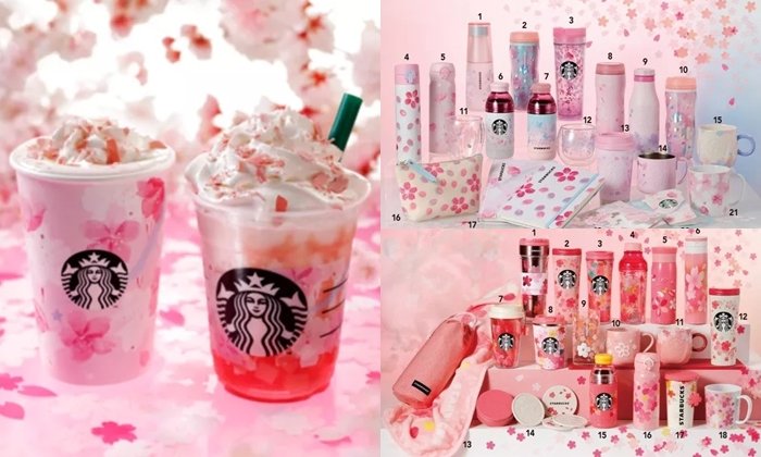 นักสะสมแก้วจากสตาร์บักส์ญี่ปุ่นต้องไม่พลาด ดีไซน์ซากุระ 2019 มาแล้วจ้า