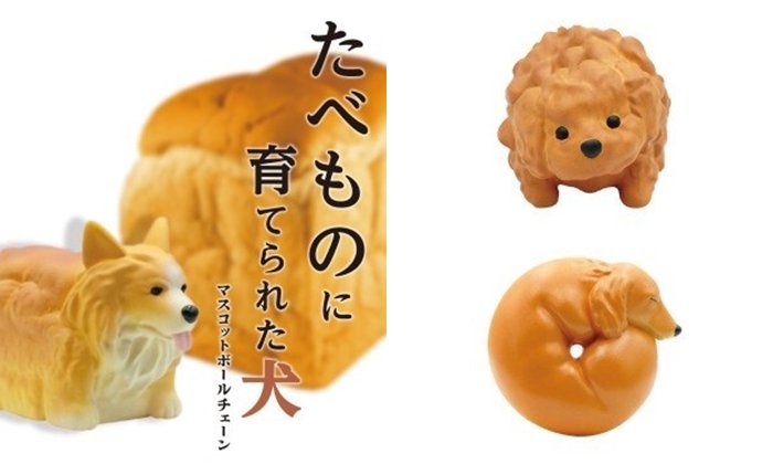 กาชาปอง “น้องหมาที่โตขึ้นมาเป็นของกิน” แปลกใหม่เกินไปแล้ว!