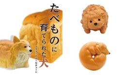 กาชาปอง “น้องหมาที่โตขึ้นมาเป็นของกิน” แปลกใหม่เกินไปแล้ว!