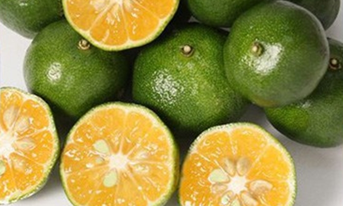 “ส้มชิคุวาซา” เคล็ดลับสุขภาพแข็งแรงและอายุยืนของชาวโอกินาว่า