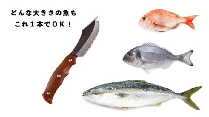 “Saka Knife” มีดแล่ปลาที่ไม่ว่าใครๆ ก็ทำได้อย่างเชฟมือโปร