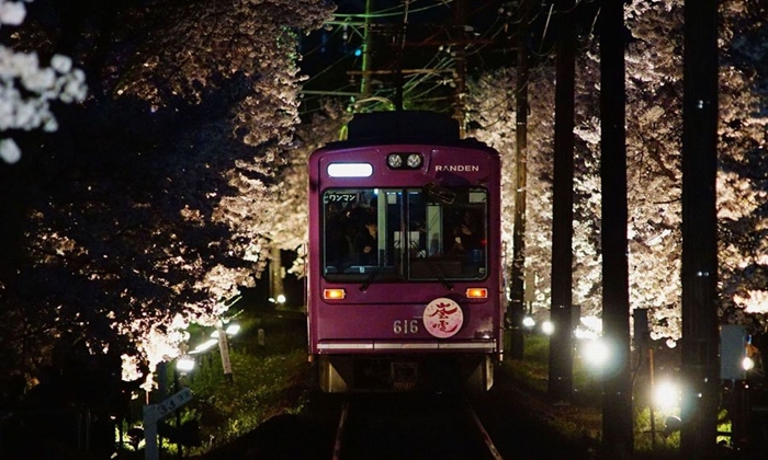 นั่งรถไฟผ่านอุโมงค์ซากุระสุดโรแมนติกยามค่ำคืนที่เกียวโต เพียง 3 วันเท่านั้น
